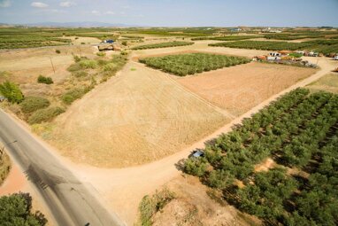 Landwirtschaftliche Fläche zum Kauf 170.000 € Nea Triglia