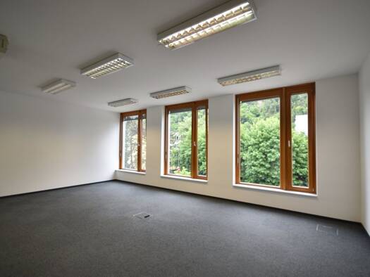 Büro zur Miete 12,50 € 4 Zimmer Salzburg Salzburg 5020