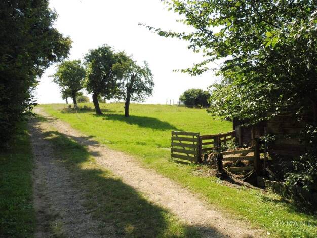 Grundstück zum Kauf 29.000 € 1.370 m² Grundstück Pöhsig Grimma 04668