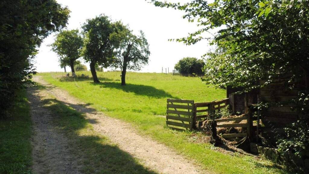 Grundstück zum Kauf 29.000 € 1.370 m² Grundstück Pöhsig Grimma 04668