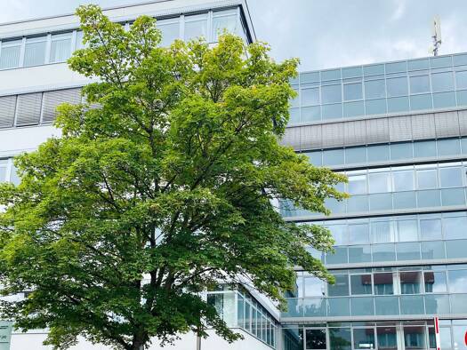 Bürofläche zur Miete provisionsfrei 1 Zimmer 20 m² Bürofläche teilbar ab 20 m² Echterdingen Leinfelden-Echterdingen 70771