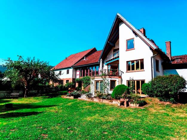 Einfamilienhaus zum Kauf 790.000 € 9 Zimmer 350 m² 1.673 m² Grundstück Hobbach Eschau 63863