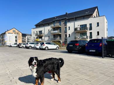 Maisonette zum Kauf provisionsfrei 358.328 € 2 Zimmer 76,2 m² 1. Geschoss frei ab sofort Im Wustrocken 5 Bestensee Bestensee 15741