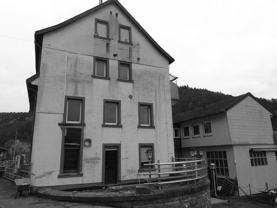 Haus zum Kauf 1.400.000 € 24 Zimmer 450 m²<br/>Wohnfläche 1.700 m²<br/>Grundstück Neckarhausen Neckarsteinach 69239