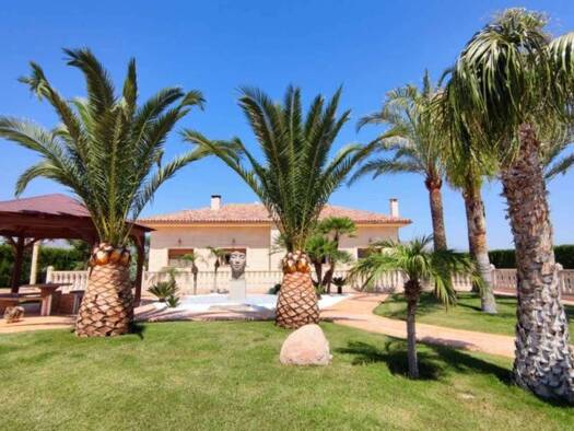 Villa zum Kauf 850.000 € 5 Zimmer 669 m² 10.551 m² Grundstück Aspe 03680