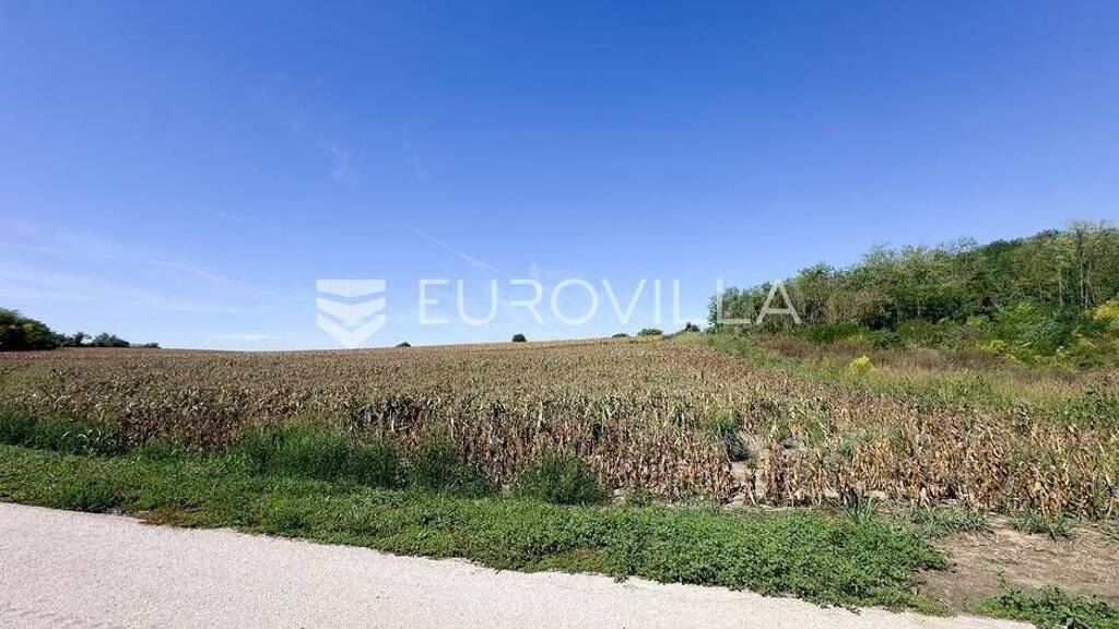 Land-/Forstwirtschaft zum Kauf 62.000 € Vucedol Vukovar