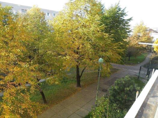 Wohnung zum Kauf 120.000 € 4 Zimmer 80 m² Kaulsdorf Marzahn-Hellersdorf 12619