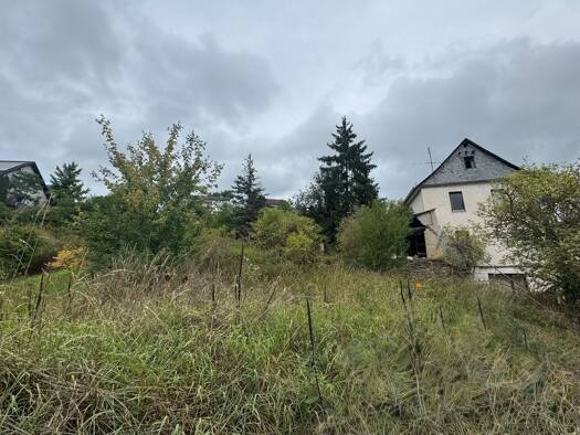 Grundstück zum Kauf 150 € 1.082 m² Grundstück Nastätten 56355