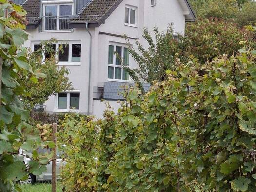 Einfamilienhaus zum Kauf provisionsfrei 799.000 € 5 Zimmer 146 m² 298 m² Grundstück frei ab 01.10.2026 Frauenstein Frauenstein 65201