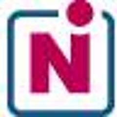Nellen Immobilien logo