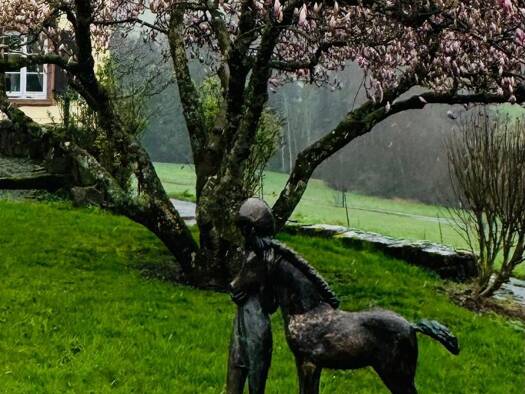 Reiterhof zum Kauf provisionsfrei 5.800.000 € 580 m² 230.000 m² Grundstück Sexau 79350