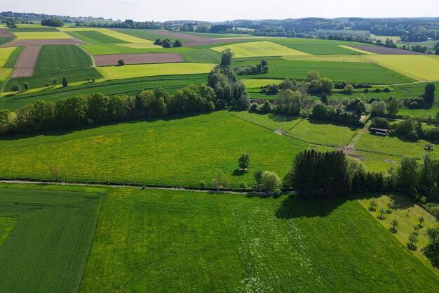 Grundstück zum Kauf 98.000 € 4.727 m² Grundstück Hailtingen Dürmentingen-Hailtingen 88525