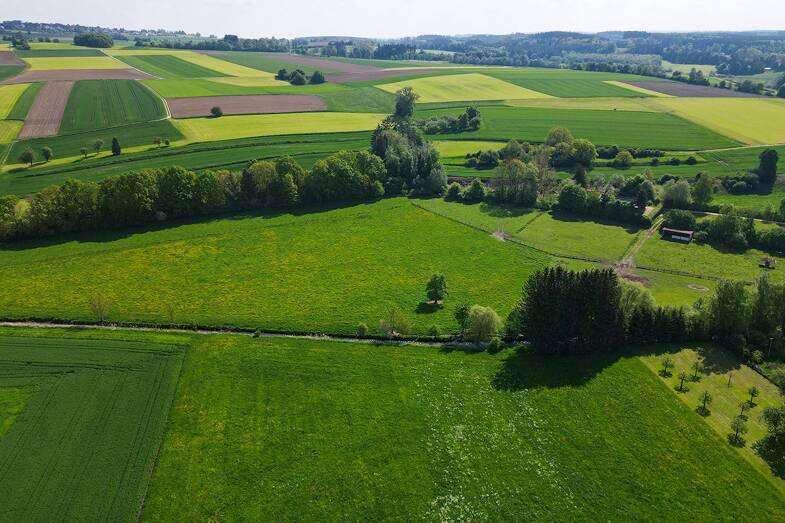 Grundstück zum Kauf 98.000 € 4.727 m² Grundstück Hailtingen Dürmentingen-Hailtingen 88525