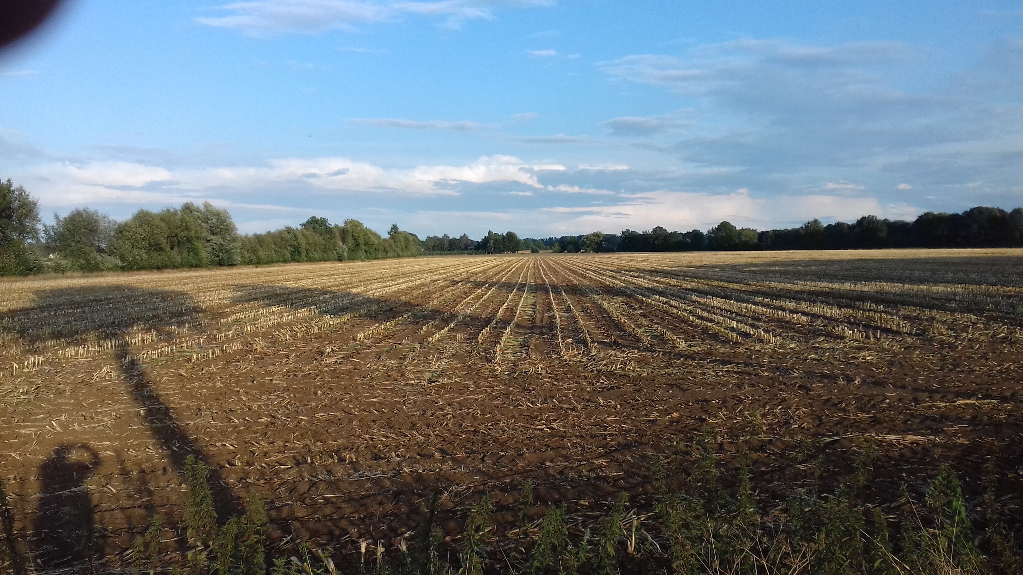 Landwirtschaftliche Fläche zum Kauf 42.540 m²<br/>Grundstück Melkow Wust-Fischbeck 39524