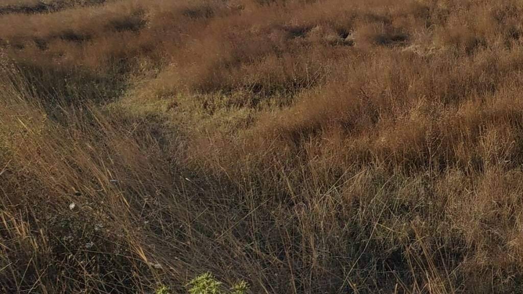 Land-/Forstwirtschaft zum Kauf 220.000 € Nin