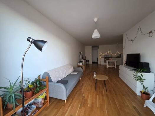 Wohnung zur Miete 550 € 2 Zimmer 65 m² Geschoss 2/3 frei ab sofort Lankow Schwerin 19057