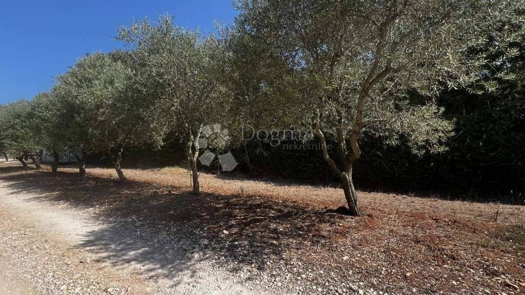 Land-/Forstwirtschaft zum Kauf 35.000 € Barban