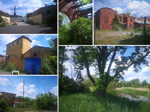 Gewerbegrundstück zum Kauf 3.250.000 € 45.678 m² Grundstück Eilenburg 04838