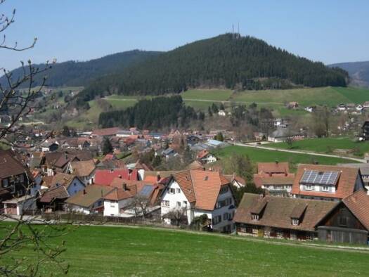 Wohnung zur Miete 380 € 2,5 Zimmer 69 m² EG Baiersbronn 72270