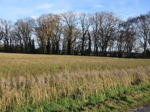 Land-/Forstwirtschaft zum Kauf 136.200 € 13.620 m² Grundstück Leuth Nettetal 41334