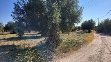 Land-/Forstwirtschaft zum Kauf 110.000 € 3.500 m² Grundstück Chalkidiki