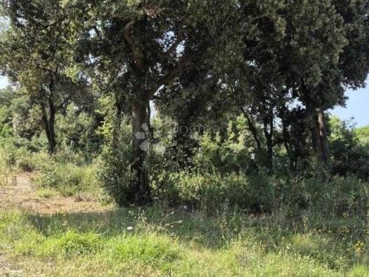 Acker-/Waldstück zum Kauf 41.500 € Peroj, Vodnjan Vodnjan 52215