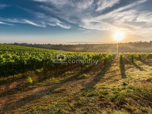 Land-/Forstwirtschaft zum Kauf 126.000 € 2.800 m² Grundstück Wien,Favoriten 1100