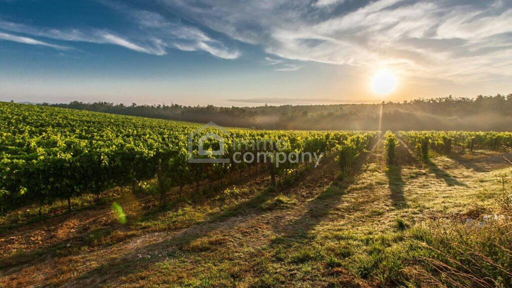 Land-/Forstwirtschaft zum Kauf 126.000 € 2.800 m² Grundstück Wien,Favoriten 1100