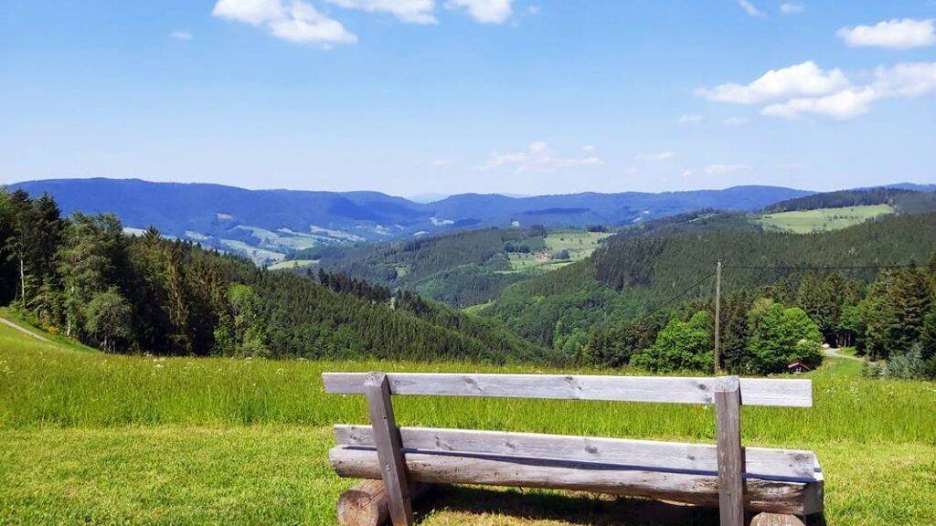 Restaurant zur Miete provisionsfrei 1.238 € 72 m² Gastrofläche Unterharmersbach Zell am Harmersbach 77736