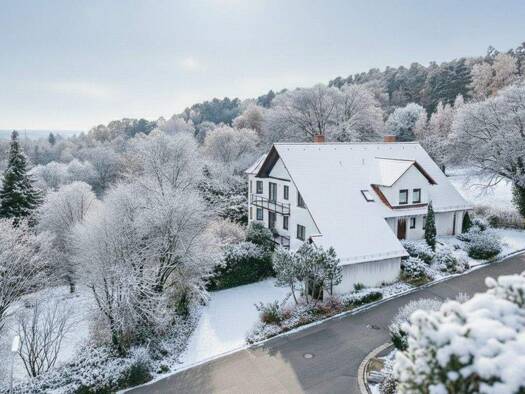 Einfamilienhaus zum Kauf 1.400.000 € 6 Zimmer 292 m² 1.338 m² Grundstück Forchheim 91301
