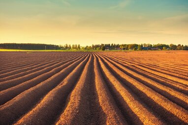 Landwirtschaftliche Fläche zum Kauf 52.103 m² Grundstück Mooskirchen 8562