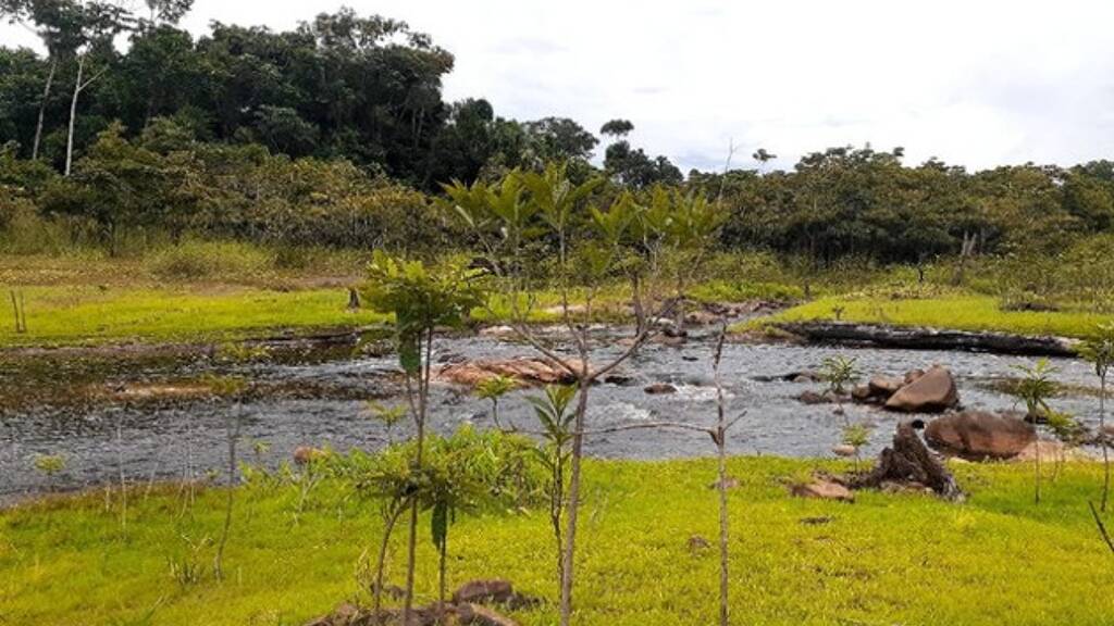 Grundstück zum Kauf 129.000 € 9.999.999 m² Grundstück Presidente Figueiredo-Balbina 69000004