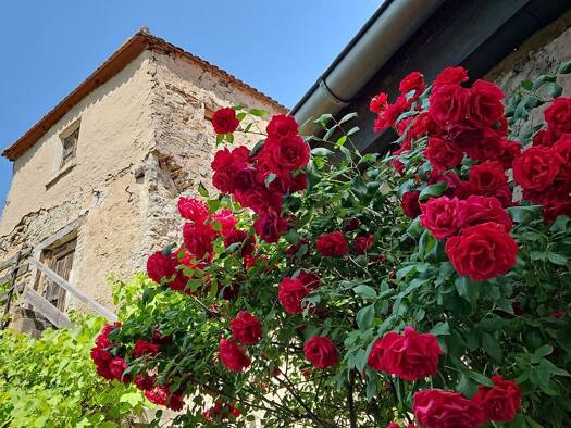 WG-Zimmer zur Miete 750 € 2,5 Zimmer 65 m² Geschoss 1/3 frei ab 01.05.2026 An der Stadtmauer 10 Ornbau 91737