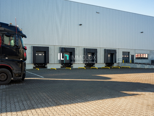 Lagerhalle zur Miete 4.500 m² Lagerfläche Weinheim Alzey 55232