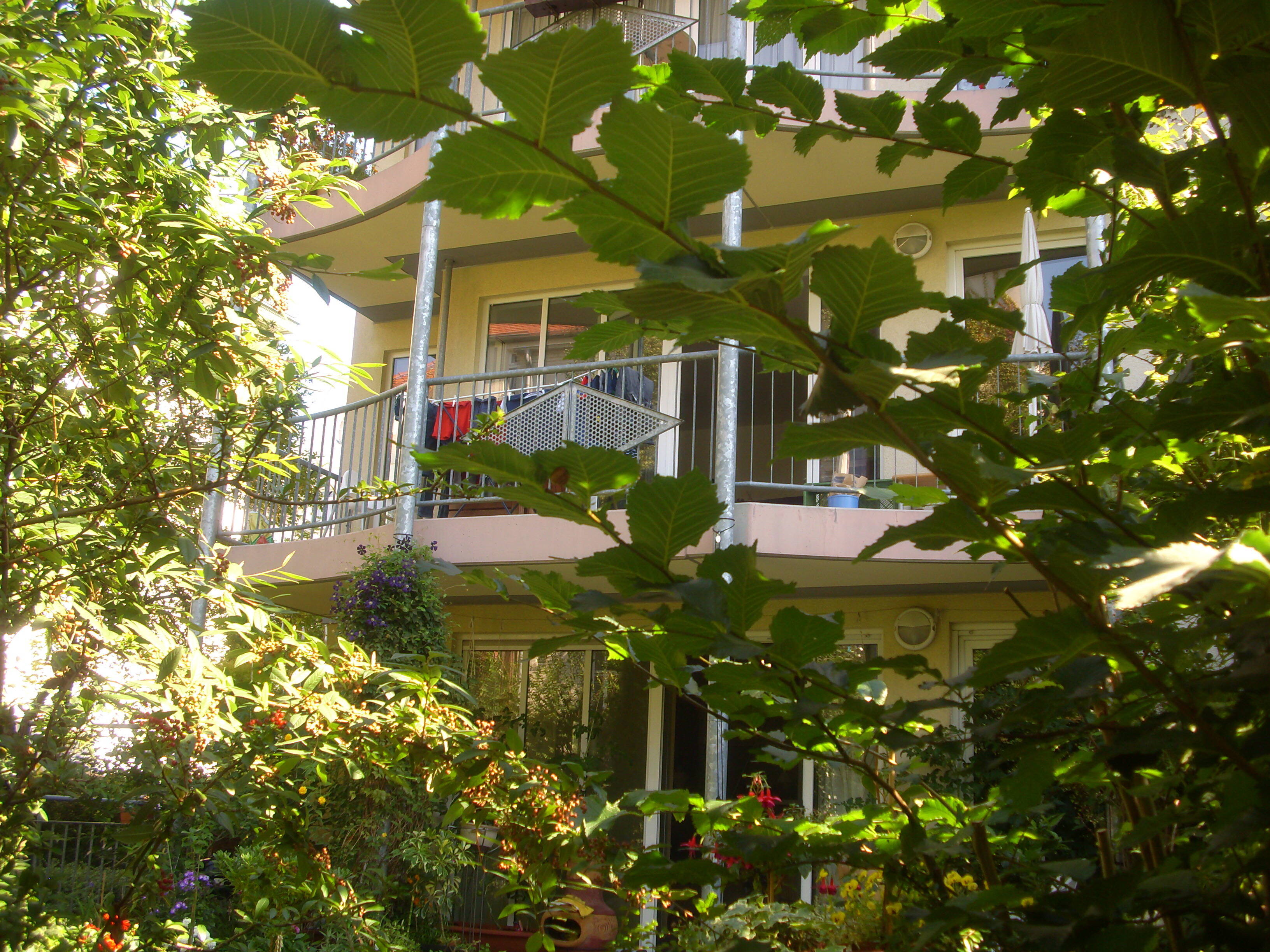 Property thumbnail 3