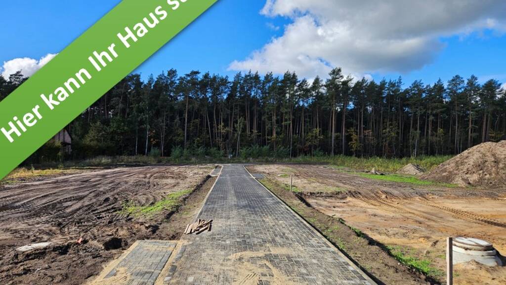 Einfamilienhaus zum Kauf provisionsfrei 398.050 € 5 Zimmer 136 m² 694 m² Grundstück Neue Grenze Hambühren II Hambühren 29313