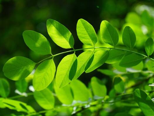 Einfamilienhaus zum Kauf 198.000 € 4 Zimmer 150 m² Montecatini Terme 51016 Pt