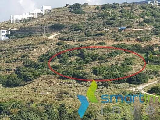 Land-/Forstwirtschaft zum Kauf 160.000 € Mpatsi, Andros 845 01