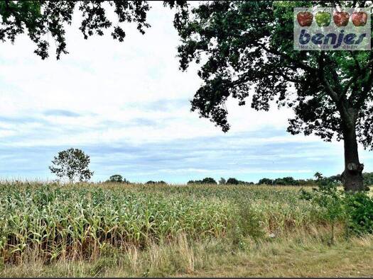 Landwirtschaftliche Fläche zum Kauf 12.767 m² Grundstück Kirchweyhe Weyhe / Hahnenfelde 28844