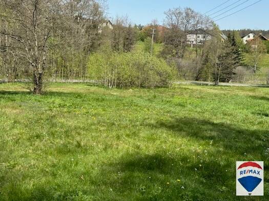 Freizeitgrundstück zum Kauf 12.800 € 3.235 m² Grundstück Ölbühl Nagel 95697