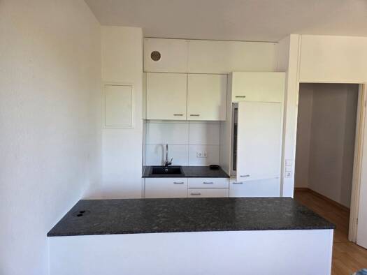 Wohnung zur Miete 690 € 1 Zimmer 27,8 m² Geschoss 3/4 frei ab sofort Allmannsdorf Konstanz 78464