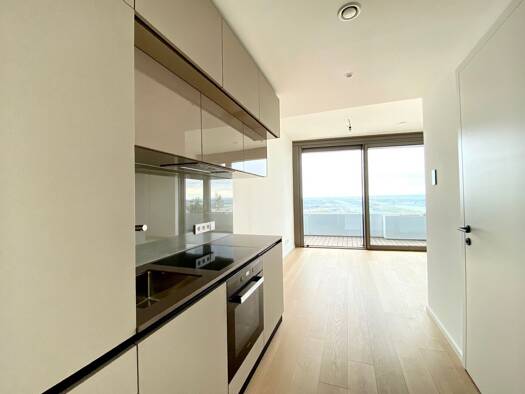 Terrassenwohnung zur Miete 938 € 1 Zimmer 34 m² 33. Geschoss Wien 1220