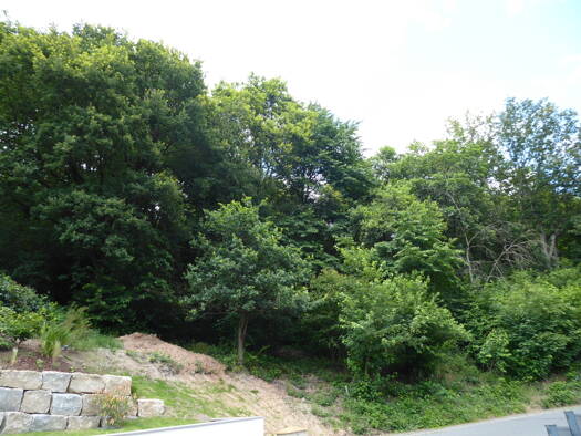 Grundstück zum Kauf 225.000 € 1.400 m² Grundstück Soden Sulzbach am Main 63834