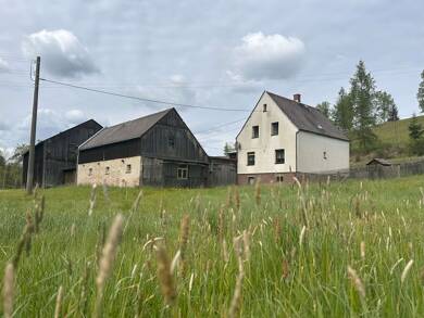 Einfamilienhaus zum Kauf 129.000 € 4 Zimmer 80 m² 14.000 m² Grundstück Buttergrund 1 Schönlind Markneukirchen 08258