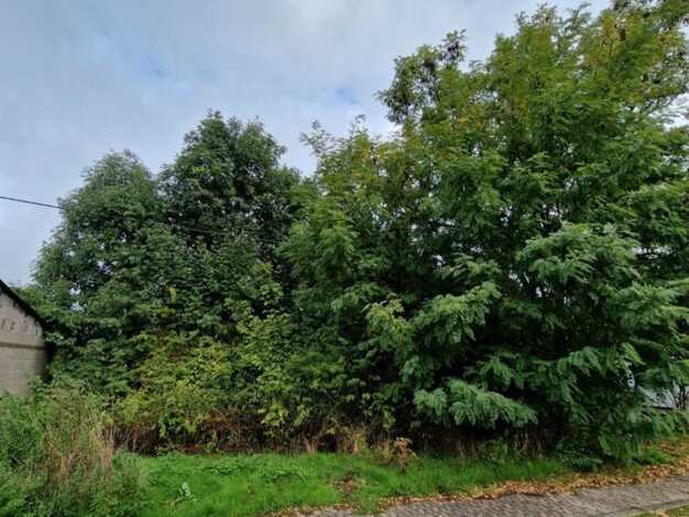 Grundstück zum Kauf 102.900 € 1.331 m² Grundstück Baugenehmigung vorhanden frei ab sofort Lebach Lebach 66822