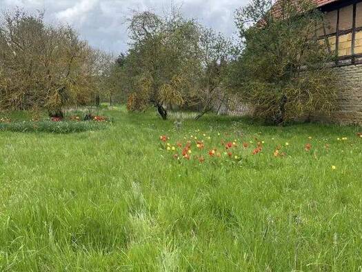 Einfamilienhaus zum Kauf provisionsfrei 301.130 € 4 Zimmer 143 m² 1.631 m² Grundstück Grabe Mühlhausen 99998