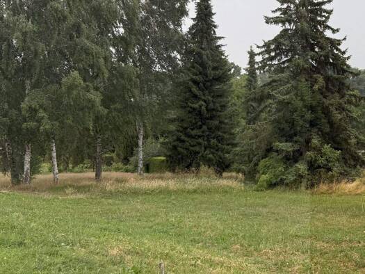 Einfamilienhaus zum Kauf provisionsfrei 455.700 € 5 Zimmer 136 m² 544 m² Grundstück Niederbobritzsch Bobritzsch 09627