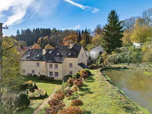 Haus zum Kauf 17 Zimmer 541 m² 15.259 m² Grundstück Biermühle Gransdorf 54533