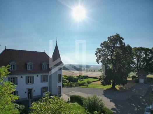 Einfamilienhaus zum Kauf 5.288.429 € 7 Zimmer 297 m² 2.500 m² Grundstück Chéserex 1275