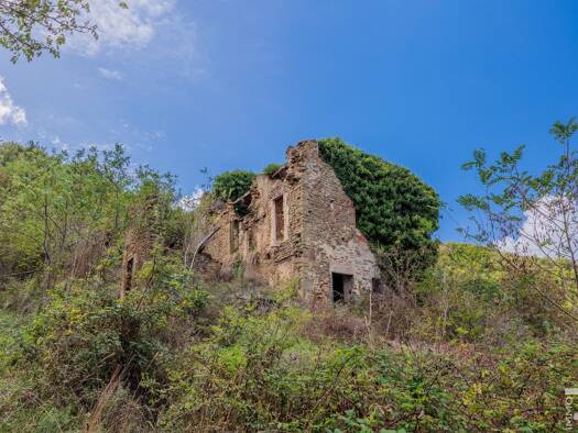 Rustico zum Kauf 960.000 € 15 Zimmer 2.000 m² 40.000 m² Grundstück frei ab sofort Greve in Chianti